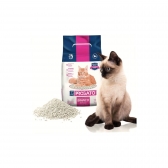 Areia Higiênica ProGato Branco para Gatos 1,8 Kg