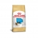 Ração Royal Canin Shih Tzu Puppy Filhotes