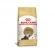 Ração Royal Canin Persa Adult para Gatos 1,5 Kg