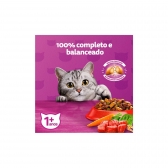 Ração Whiskas Gatos Adultos Sabor Carne 10,1 Kg