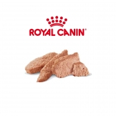 Ração Úmida Royal Canin Veterinary Recovery Cães e Gatos em Recuperação 195g