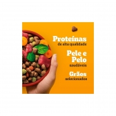 Ração Pedigree Cães Adultos Porte Médio e Grande 15 Kg  Carne e Vegetais