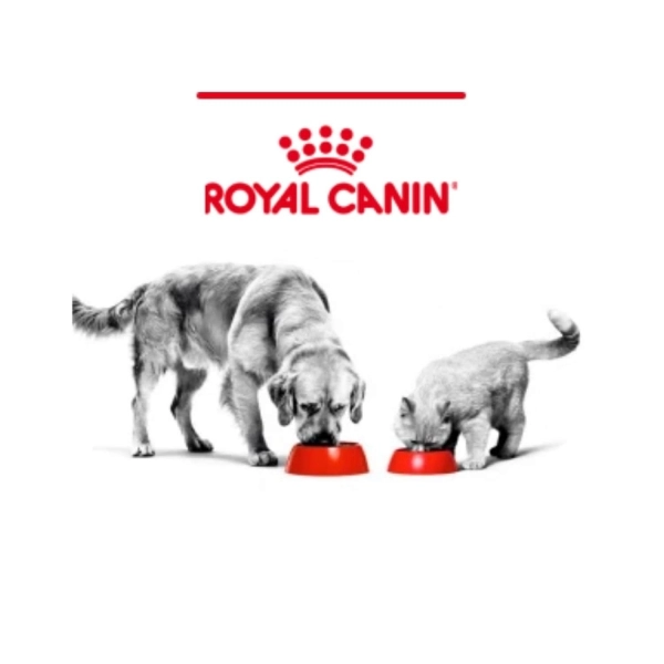 Ração Royal Canin Veterinary Urinary Feline 1,5 Kg