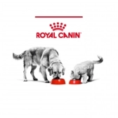 Ração Royal Canin Veterinary Urinary Feline 1,5 Kg