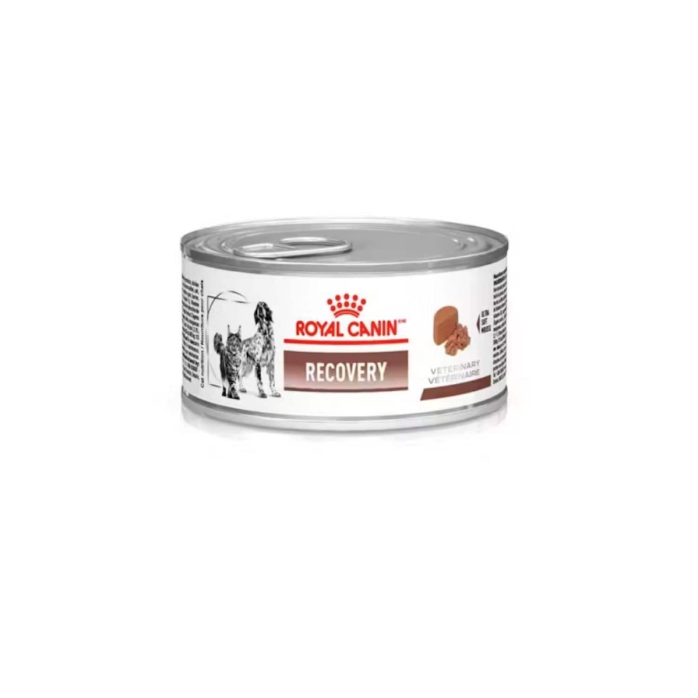Ração Úmida Royal Canin Veterinary Recovery Cães e Gatos em Recuperação 195g