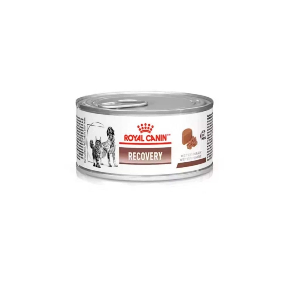 Ração Úmida Royal Canin Veterinary Recovery Cães e Gatos em Recuperação 195g