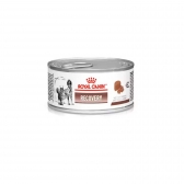 Ração Úmida Royal Canin Veterinary Recovery Cães e Gatos em Recuperação 195g
