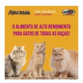 Ração Atacama Gatos Castrados 10 Kg