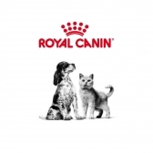 Ração Royal Canin Shih Tzu Puppy Filhotes