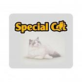 Ração Special Cat Gatos Adultos Peixe