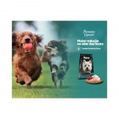 Ração Raro Cães Raças Pequenas Sabor Frango