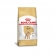 Ração Royal Canin Poodle Adult 1 Kg
