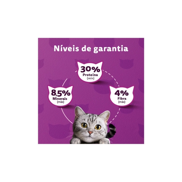 Ração Whiskas Gatos Adultos Sabor Carne 10,1 Kg