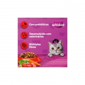 Ração Whiskas Gatos Adultos Sabor Carne 10,1 Kg