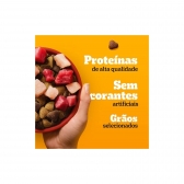 Ração Pedigree Cães Adultos Porte Médio e Grande Carne e Frango 15 Kg