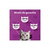 Ração Whiskas Gatos Castrados Adultos Sabor Carne 10,1 Kg