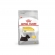 Ração Royal Canin Mini Dermacomfort 2,5 Kg