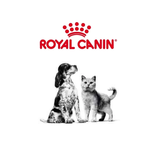 Ração Royal Canin Yorkshire Terrier Puppy Filhotes