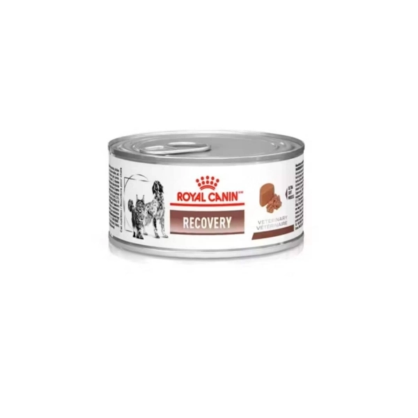 Ração Úmida Royal Canin Veterinary Recovery Cães e Gatos em Recuperação 195g
