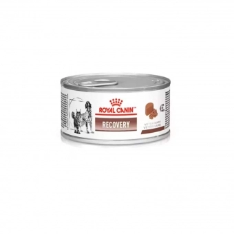 Ração Úmida Royal Canin Veterinary Recovery Cães e Gatos em Recuperação 195g