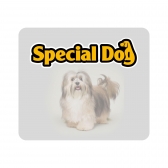 Ração Special Dog Plus Cães Adultos Carne 15 Kg