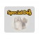 Ração Special Dog Plus Cães Adultos Carne 15 Kg