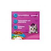 Ração Whiskas Gatos Adultos Sabor Peixe 10,1 Kg