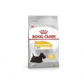 Ração Royal Canin Mini Dermacomfort 2,5 Kg
