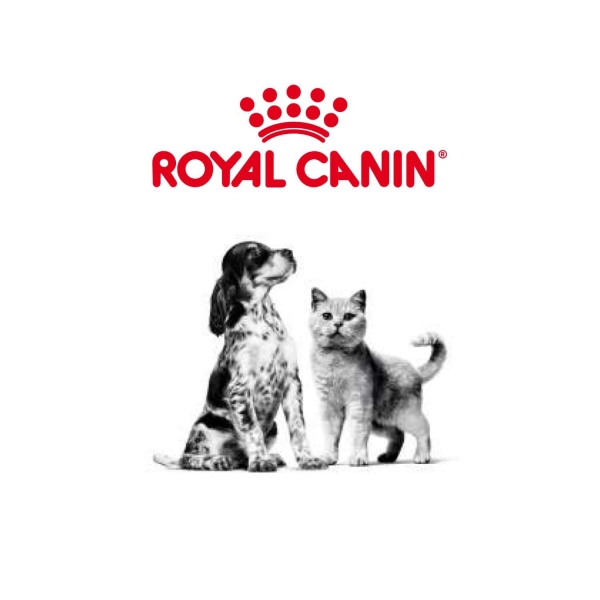 Ração Royal Canin Shih Tzu Adult